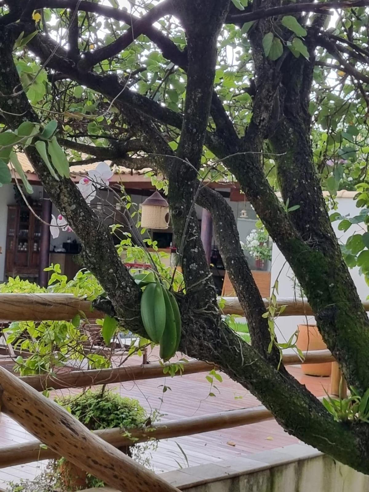 Hotel Caraiba